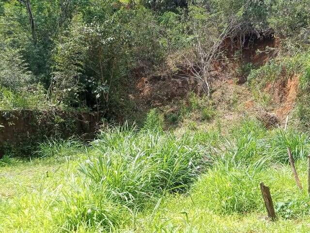 #6 - Área para Venda em Caraguatatuba - SP